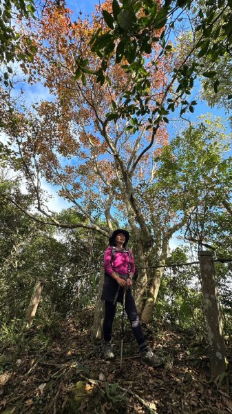 馬那邦山O走2370126