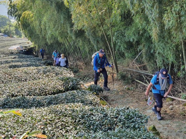 【雲嘉】後棟山連走大二尖山1478454