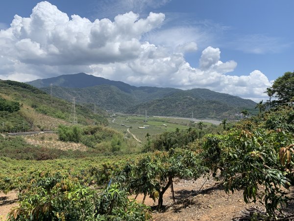 20250503屏東埔姜山東2781520