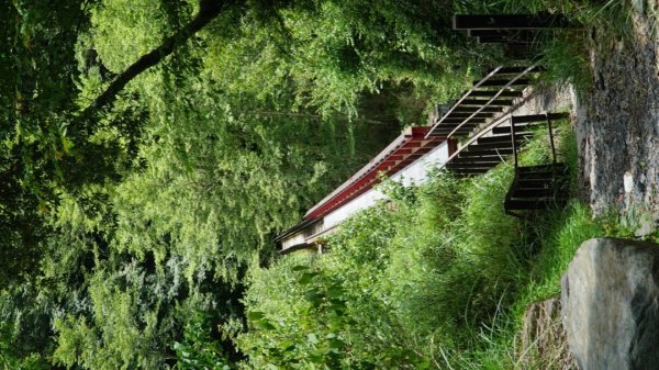 大鹿林道東線/騎乘登山車1722292