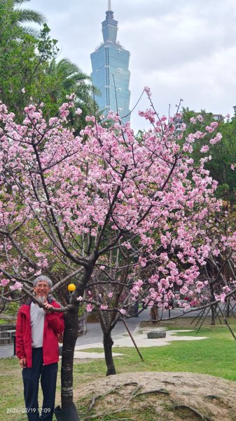 #虎山  #101大樓  #國父紀念館 #河津櫻 #中正紀念堂 2/193002698