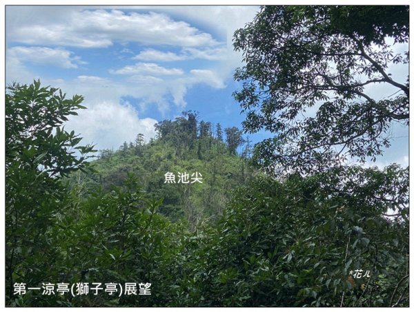 魚池尖山 (魚池富山) 中入右出