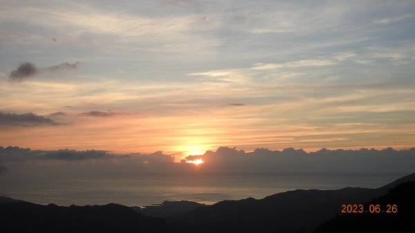 雲山水花鳥蝶 - 天龍國阿伯的日常 6/262195478