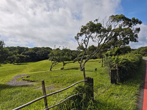 [百山百鳥尋旅-02/15] 2025_0809 社頂自然公園步道2856886