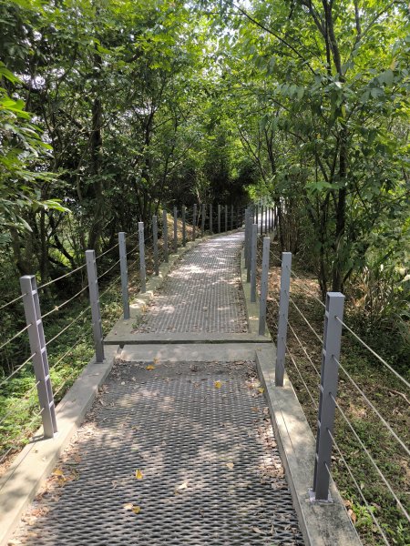 20250809樹迴縱走2855040