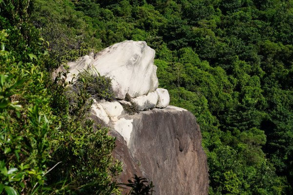 新北 汐止 學頭坡山、老鷲尖山、水尾潭山、內溝山2603834