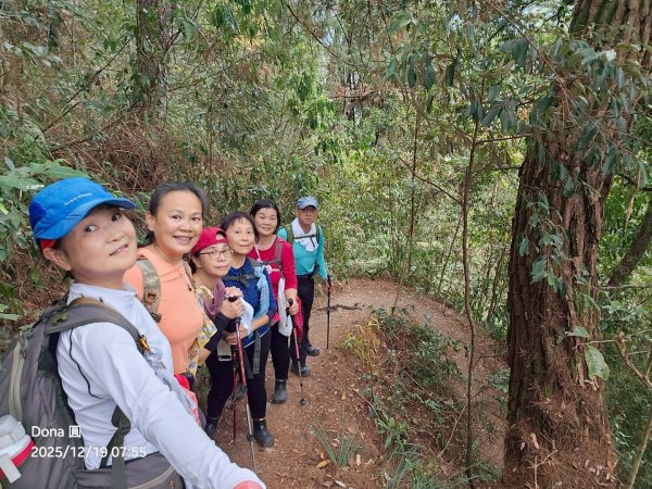 20251219八仙山+佳保台山(谷關三雌)2974418