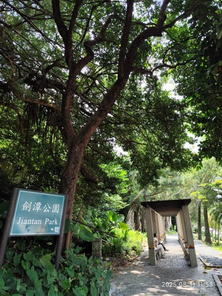 劍潭公園、八二三砲戰紀念公園【臺北健走趣】2878727