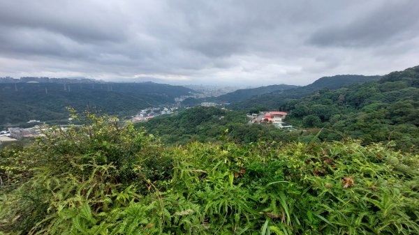 龜山五連星+大棟山O型2785163