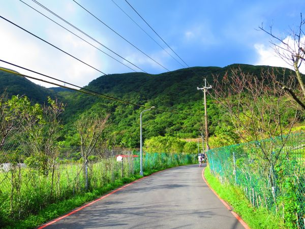 【心靈療癒】陽明山頂湖環狀步道182880