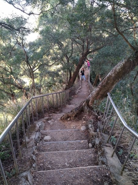 鼓山尖峰泡茶趣---田中森林登山步道811528