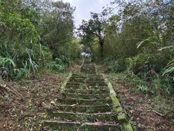 雙溪區聖南寺朝山古道+大竹林山(未果)2963588