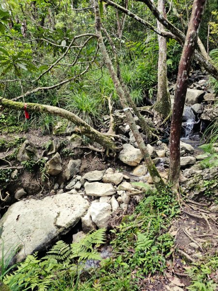 八里灣山-小百岳#91-花蓮縣豐濱鄉3019232