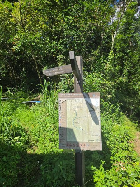 20260822梳妝三山(梳妝樓山-梳妝頂山-梳妝頭山)3111537