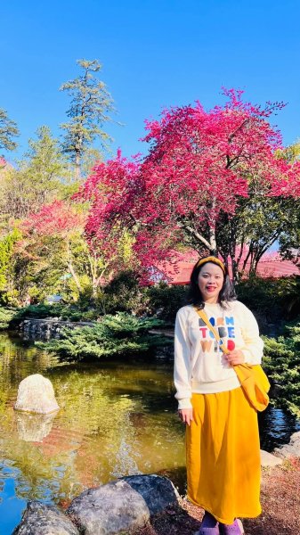 🌈2/16(日)-17(一)福壽山+武陵農場賞櫻🌈🌸FB：熊熊趴爬走 歡迎加入2714869