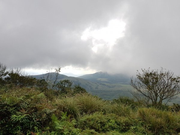 2018.11.06 陽明山-擎天崗475026