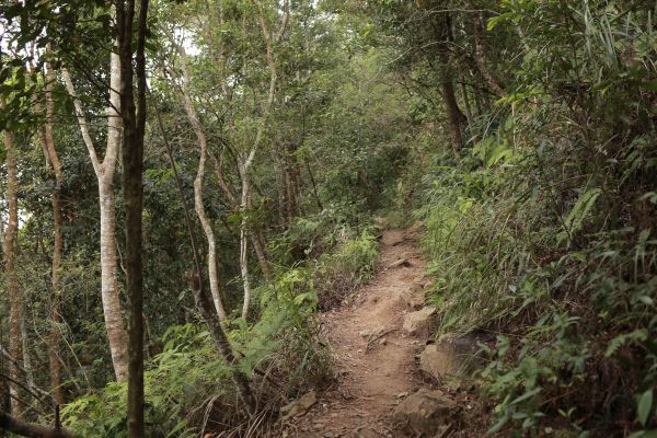 谷關七雄：東卯山187651