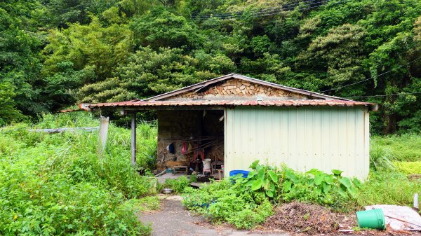 白雲古道2609556