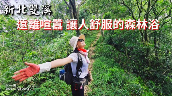 平湖西步道.內平林山.大坑山.平湖東步道O走全紀錄