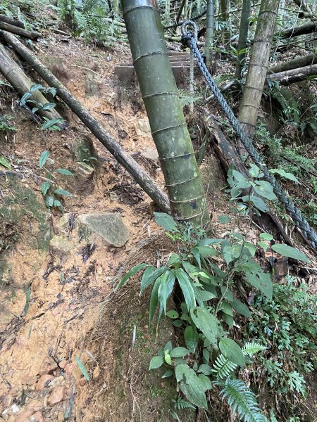 水社大山3060327