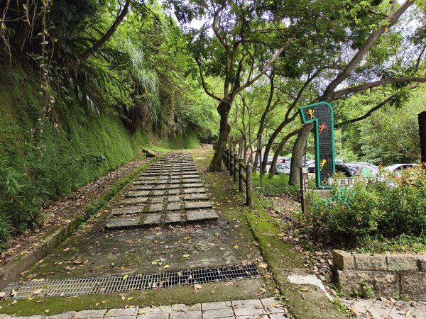 [百山百鳥尋旅-08/15] 2025_0831 大坑1號步道2876184