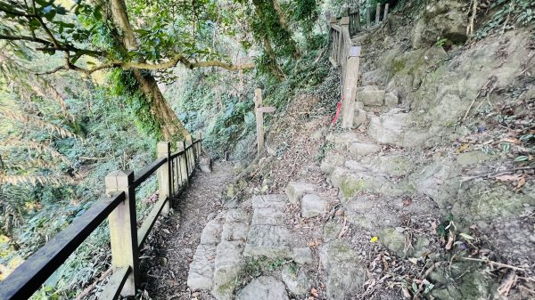 [台南東山]崁頭山步道|林蔭巨石木棧道視野遼闊的親子簡單輕鬆步道|優雅竹林圍繞三角點清幽野餐1603466