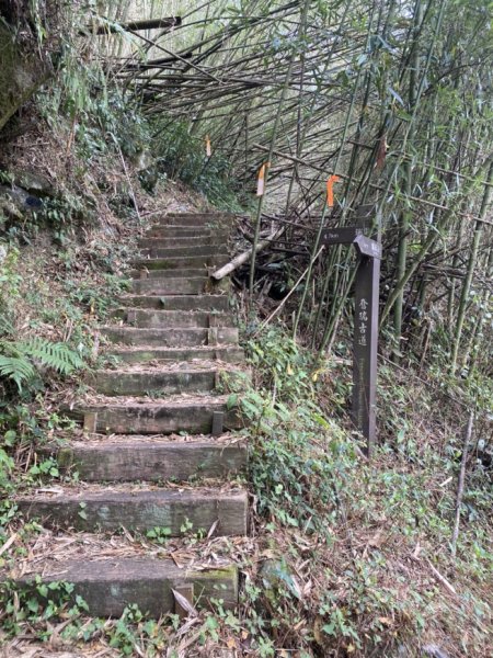 奮瑞瑞太古道3060183
