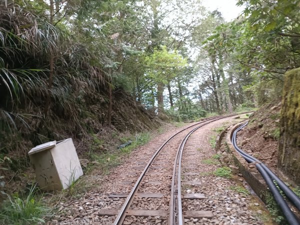 對高岳步道1692796