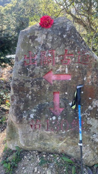 樟之細路-聖關段2686819