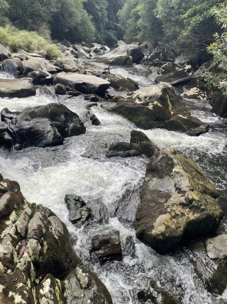 南北豹子廚山2925457