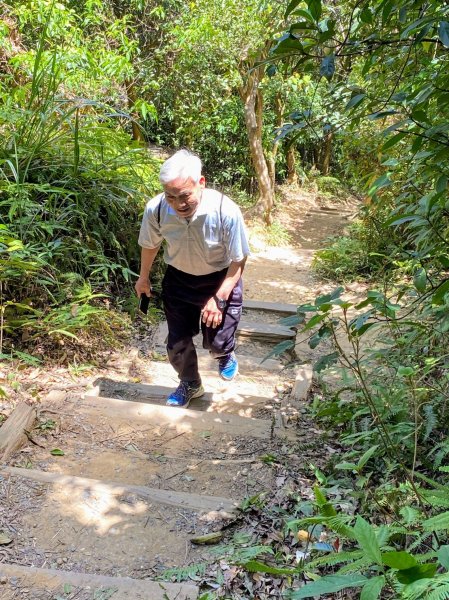 劍潭山步道1453891