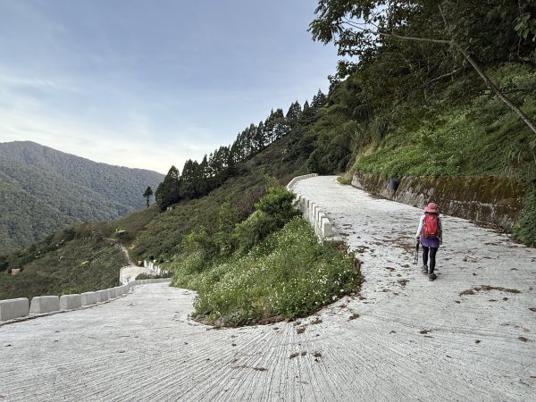 塔曼山 連走 拉拉山森林遊樂區 O繞 202510112923646