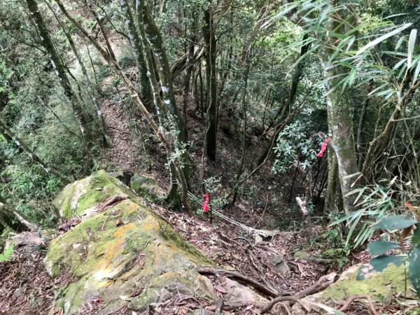 嘎色鬧走那結山1370995