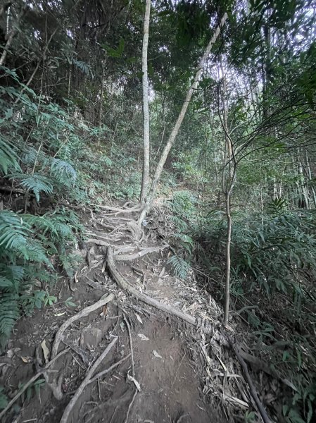 2022谷關七雄，慢旅臺中-白毛山 09261858376