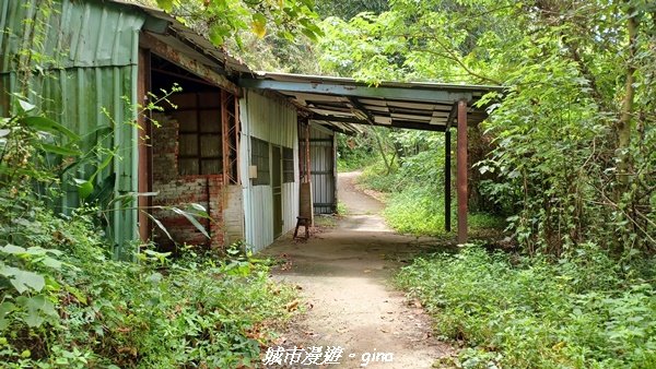 【南投草屯】蝴蝶紛飛可惜抵擋不了低海拔蚊子攻擊。 虎山步道x中興新村2856649