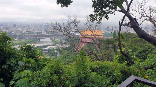 收集小百岳-劍潭山1439714