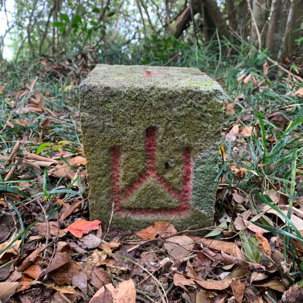 20250127屏東坪埔厝山-草山-南湖呂山西峰-南湖呂山2705091