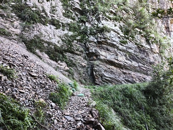 [玉山尋寶任務-07/12] 2025_0824 八通關雲龍瀑布步道2870609