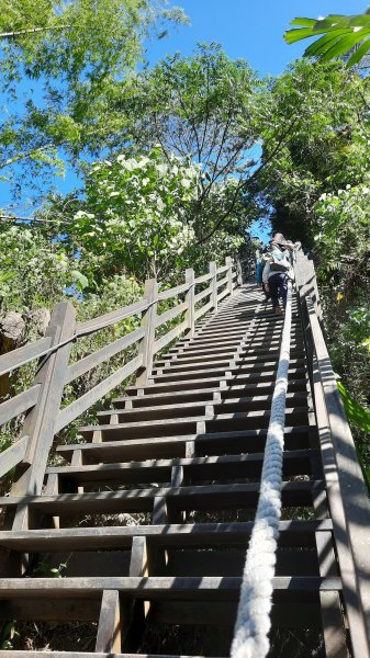 《台中》爬山買菜｜大坑步道10上9下202211131908910