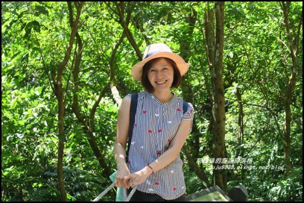 林美石磐步道388352