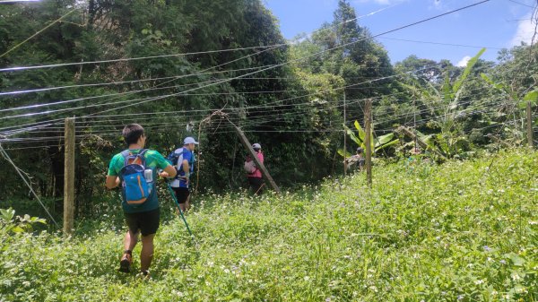 谷關黑白縱走2025年6月8日2808664