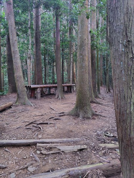 長壽山、肥崠山、醜崠山、大崠山、大崠山經建版2931524