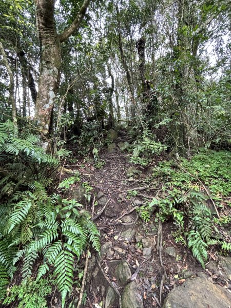 二格山、南邦寮山2941700