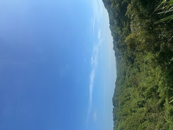 苗栗西湖-柚子山步道2615564