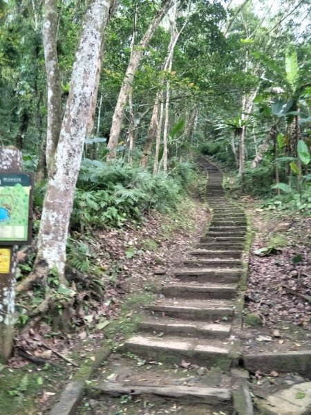 小百岳:`鯉魚山1609896