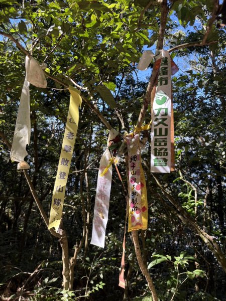 20251116鳴海山、網子山登山步道2938381