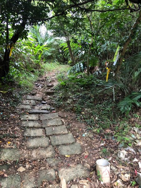 基隆市中正區小百岳槓子寮山二等三角點N O.11681515052