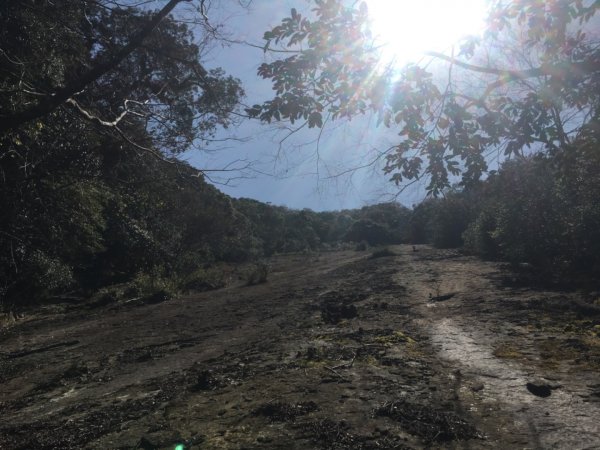 加里山前山、鐵道遺跡、索道、香菇寮2052752