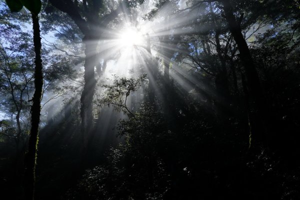新北 烏來 塔曼山3119497