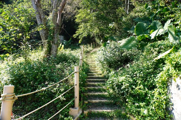 桃園 龍潭 太平山、清水坑山、石門山、小粗坑山、大竹坑山2977150